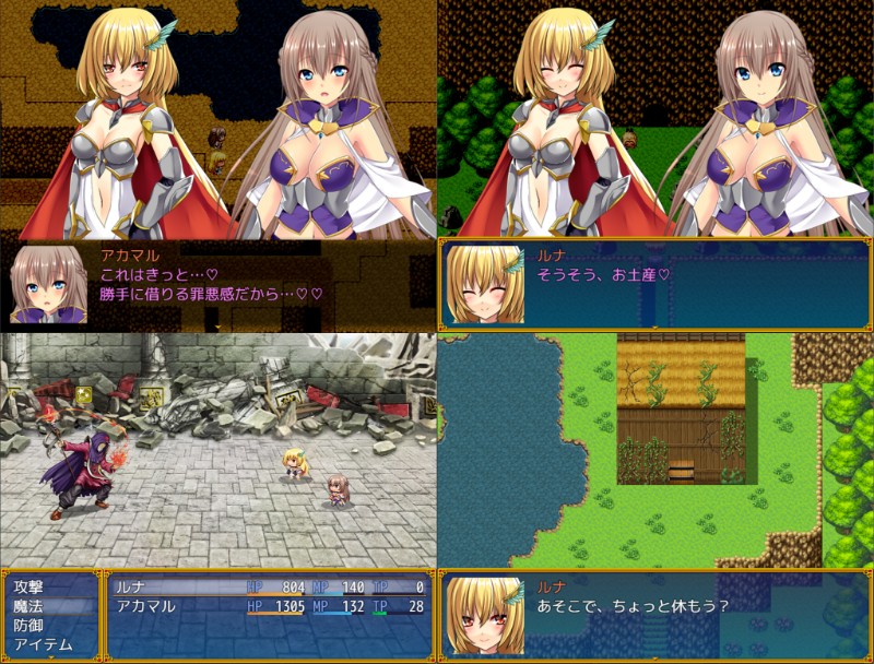 二人の力を合わせれば－女性化RPG・参考画像